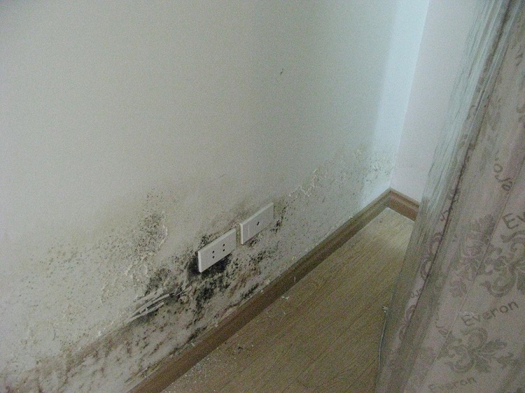 Cách làm sạch tường nhà bị bẩn nhanh và đơn giản nhất