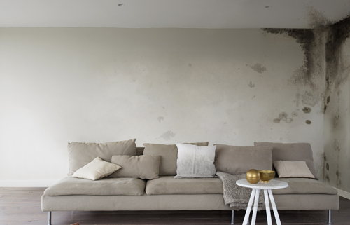 Những tác hại do thấm tường gây ra
